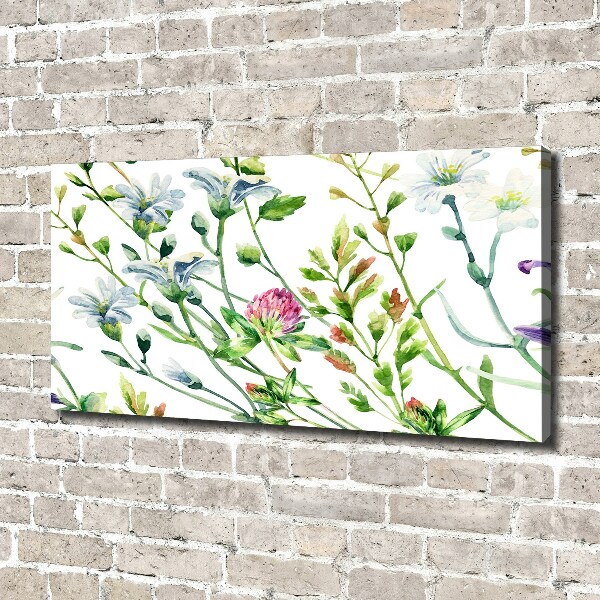 Canvas wall art Wild flowers