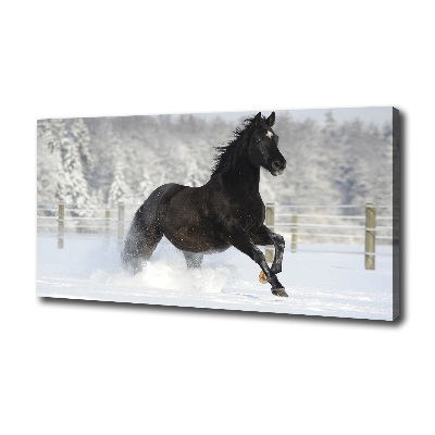 Large canvas wall art Snow horse at the gallop