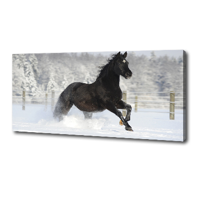 Large canvas wall art Snow horse at the gallop