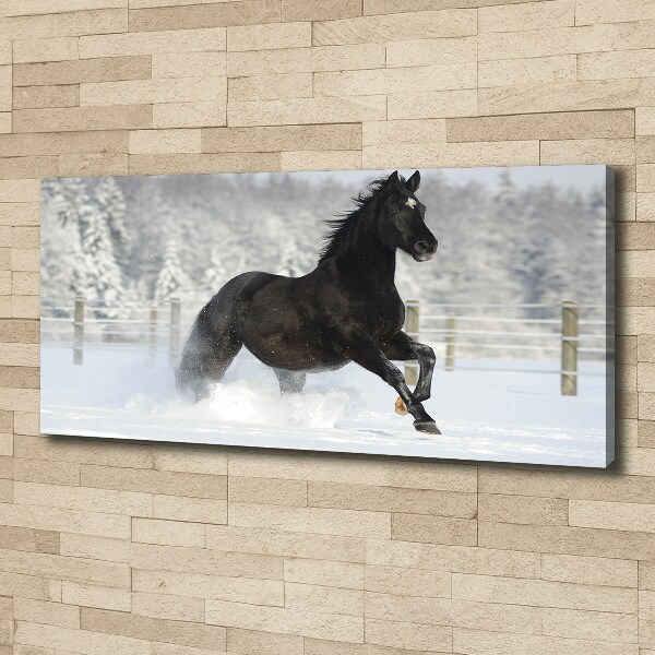 Large canvas wall art Snow horse at the gallop