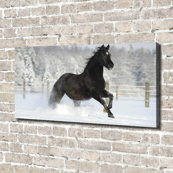 Large canvas wall art Snow horse at the gallop