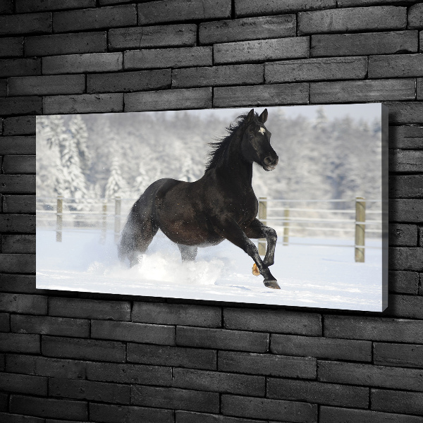 Large canvas wall art Snow horse at the gallop