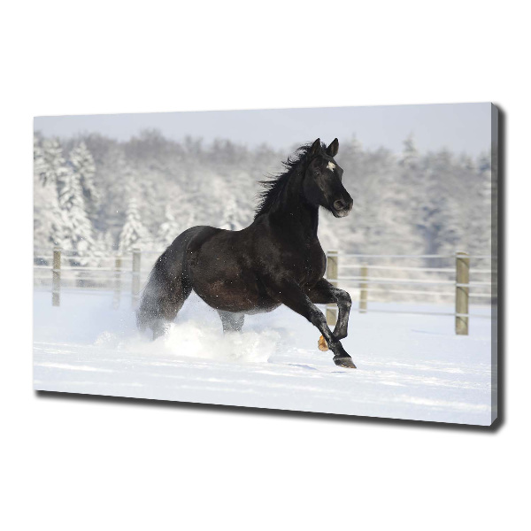 Large canvas wall art Snow horse at the gallop