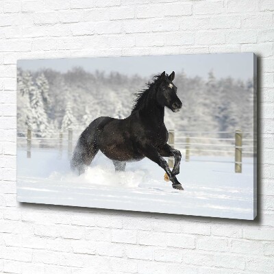 Large canvas wall art Snow horse at the gallop