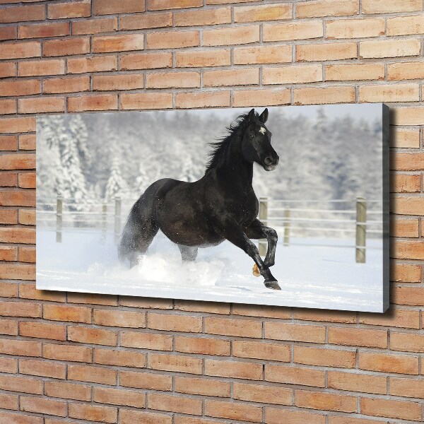 Large canvas wall art Snow horse at the gallop