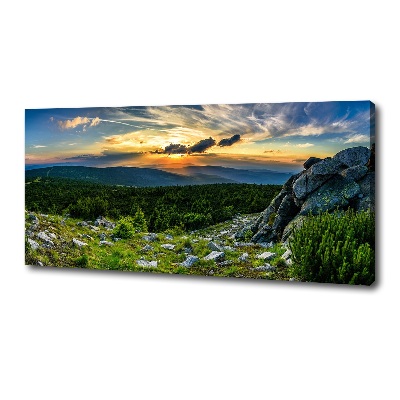 Canvas wall art Mountain panorama