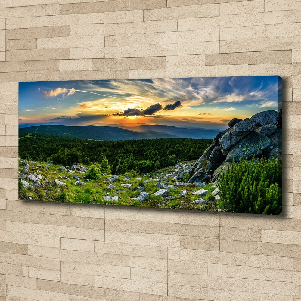 Canvas wall art Mountain panorama