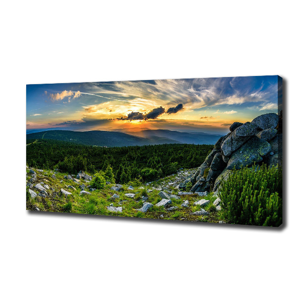 Canvas wall art Mountain panorama