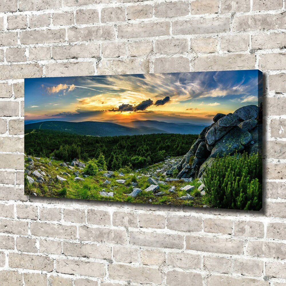 Canvas wall art Mountain panorama