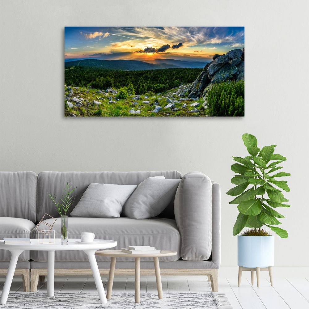 Canvas wall art Mountain panorama