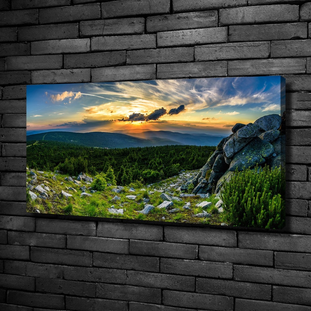 Canvas wall art Mountain panorama