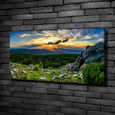 Canvas wall art Mountain panorama