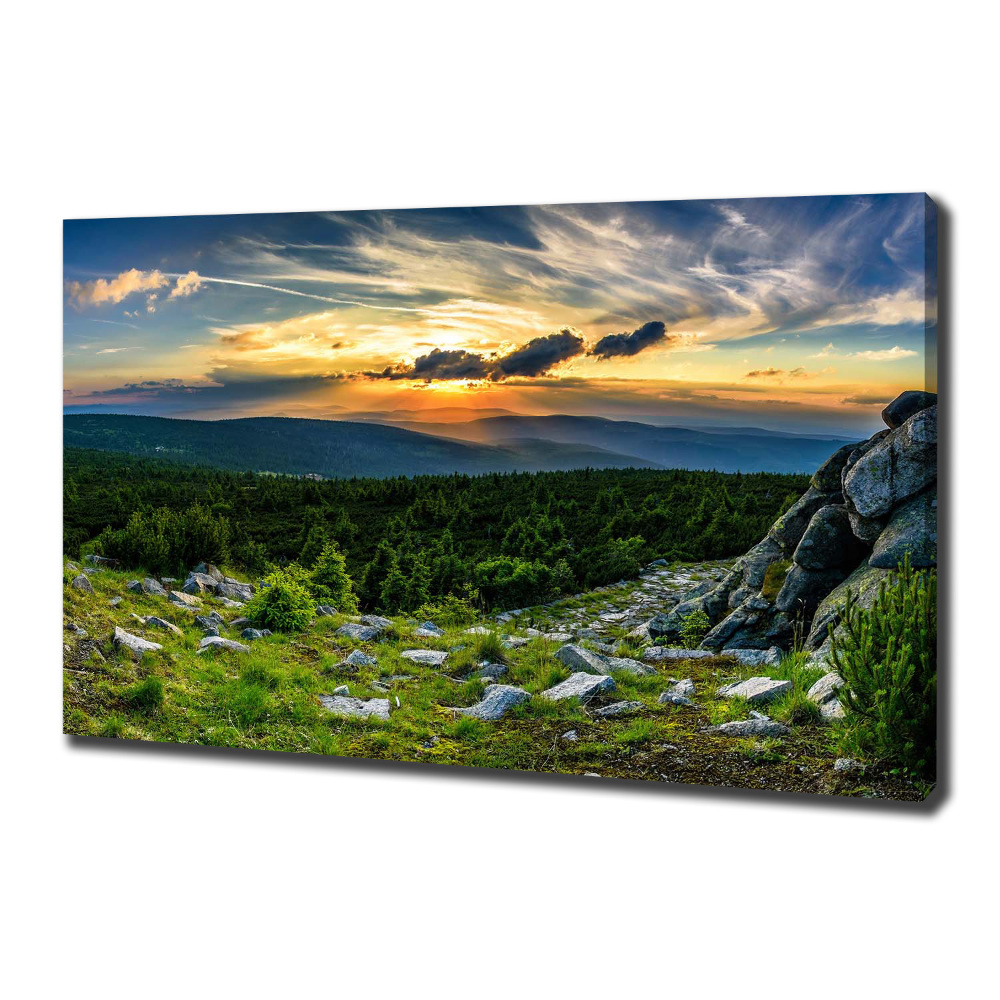 Canvas wall art Mountain panorama