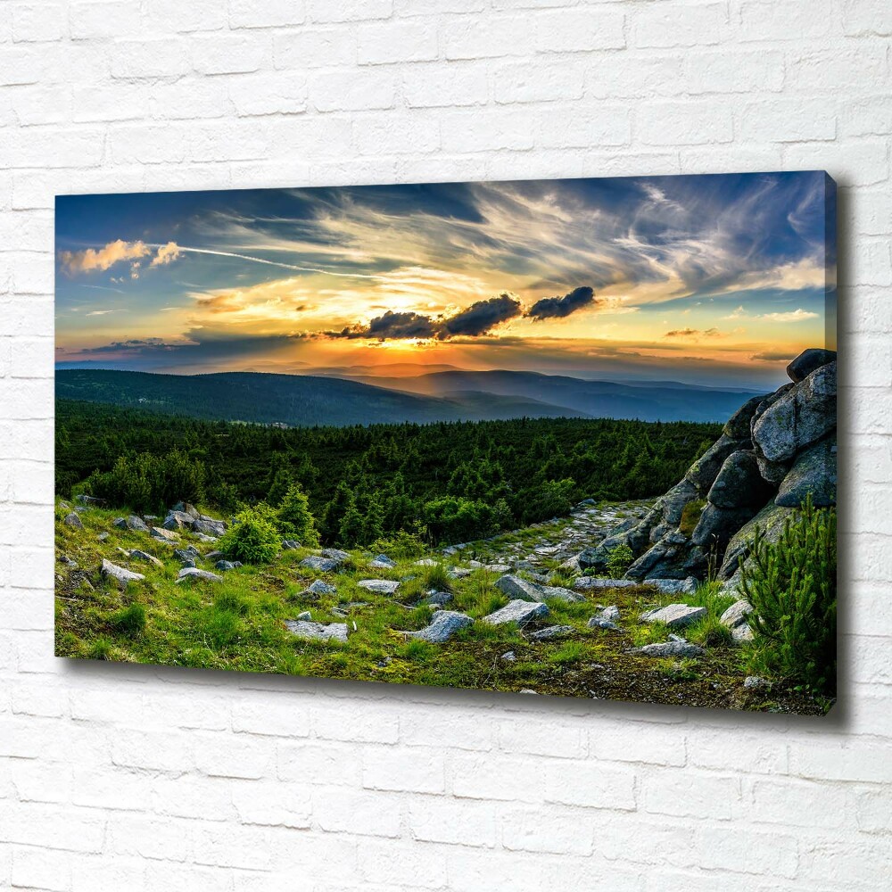 Canvas wall art Mountain panorama