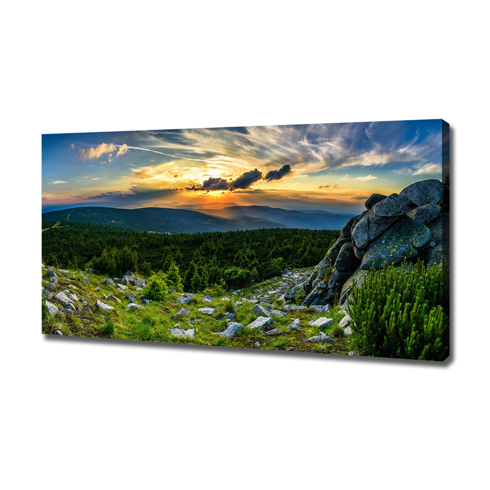 Canvas wall art Mountain panorama