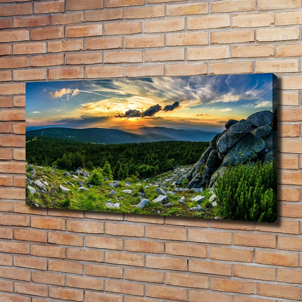 Canvas wall art Mountain panorama