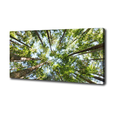 Canvas wall art Crown of trees