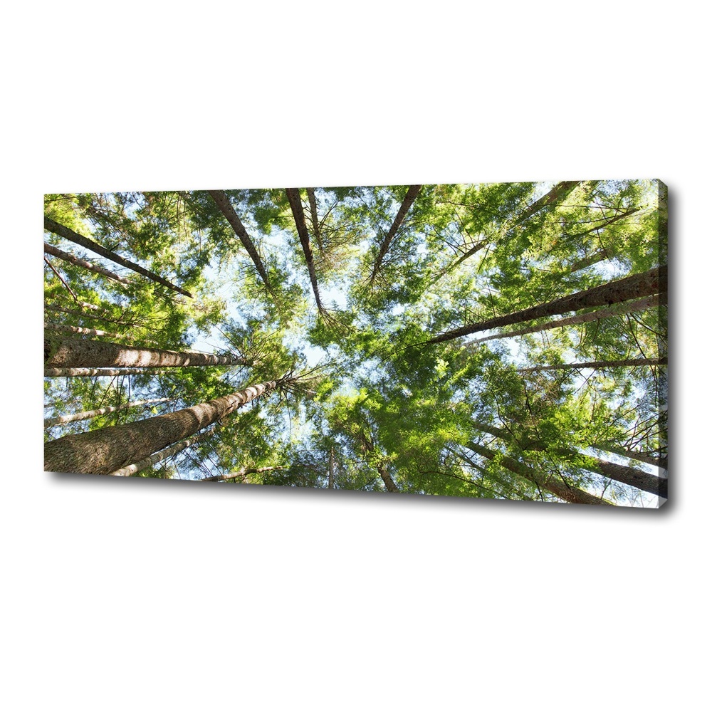 Canvas wall art Crown of trees