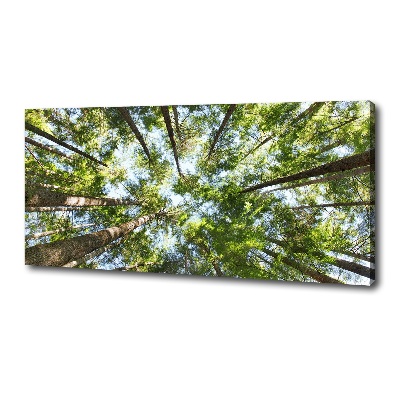 Canvas wall art Crown of trees