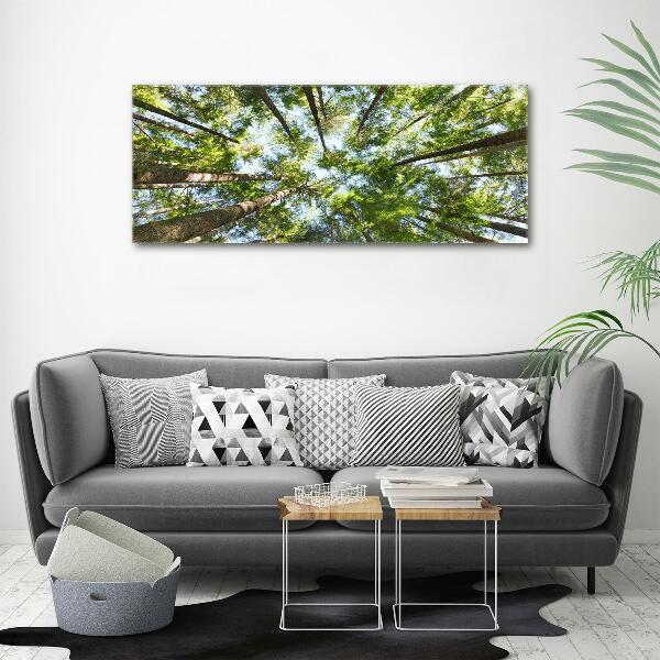 Canvas wall art Crown of trees