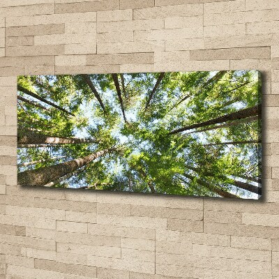 Canvas wall art Crown of trees