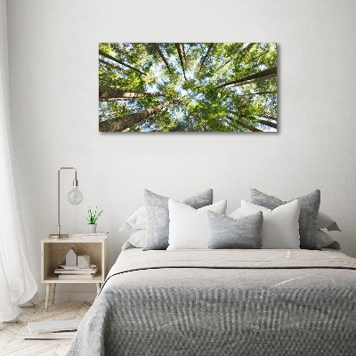 Canvas wall art Crown of trees