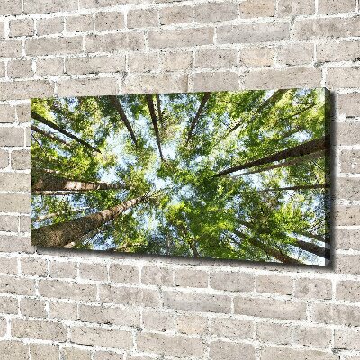 Canvas wall art Crown of trees