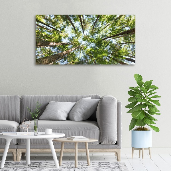 Canvas wall art Crown of trees