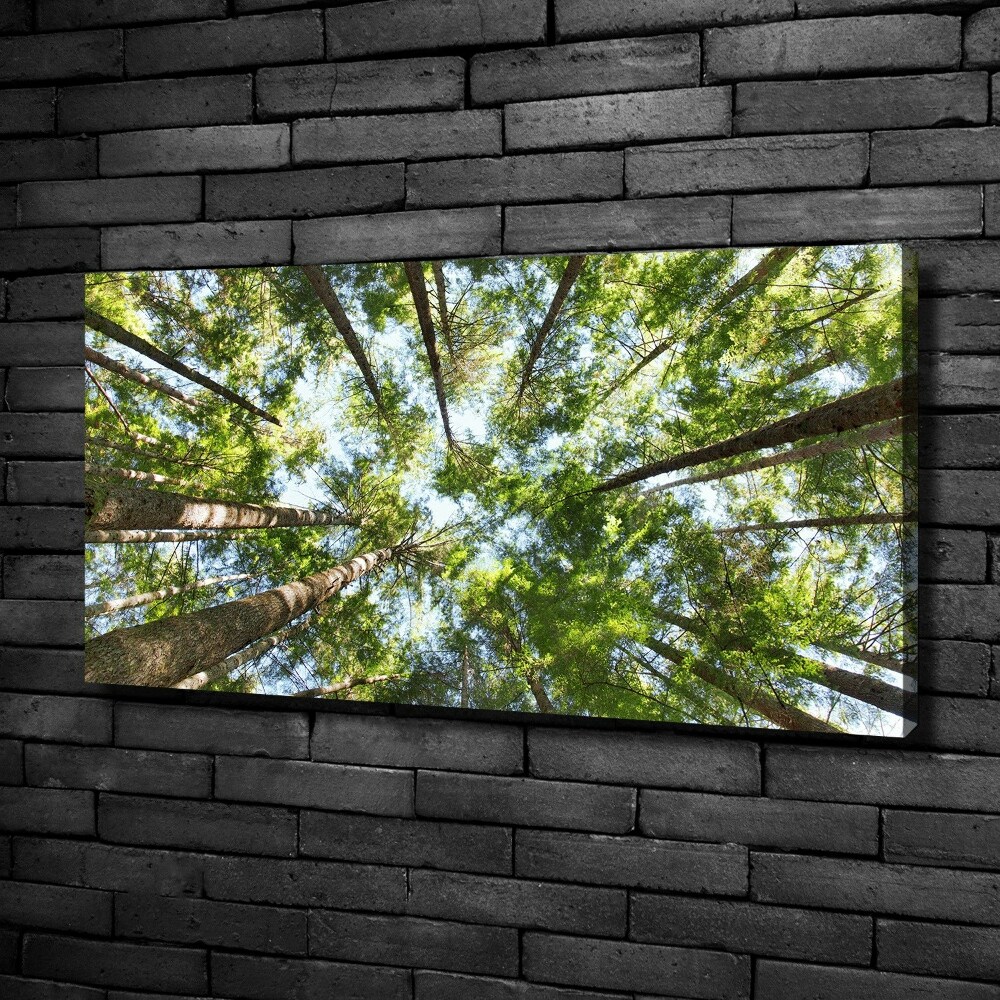 Canvas wall art Crown of trees