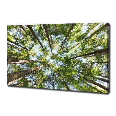 Canvas wall art Crown of trees