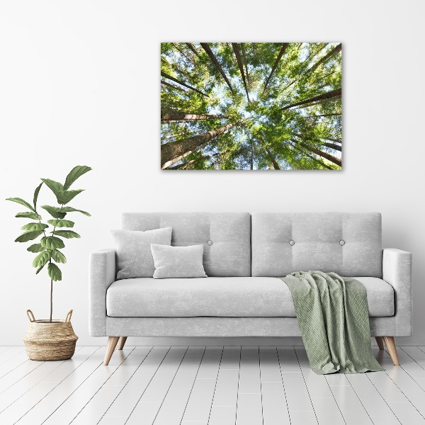 Canvas wall art Crown of trees