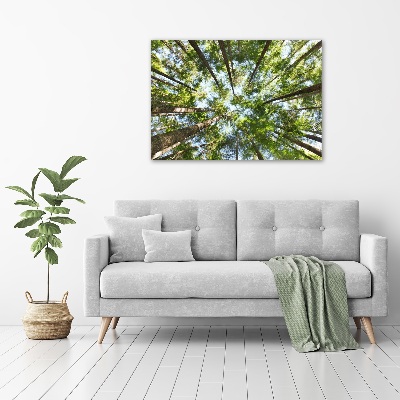 Canvas wall art Crown of trees