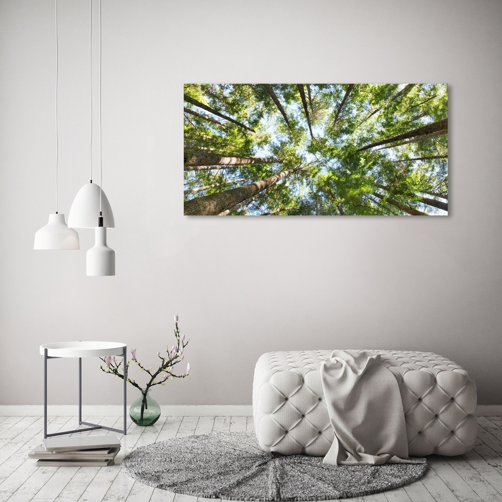 Canvas wall art Crown of trees