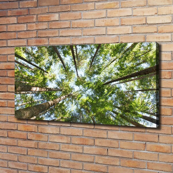 Canvas wall art Crown of trees