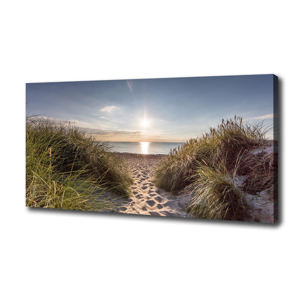 Canvas wall art Coastal dunes