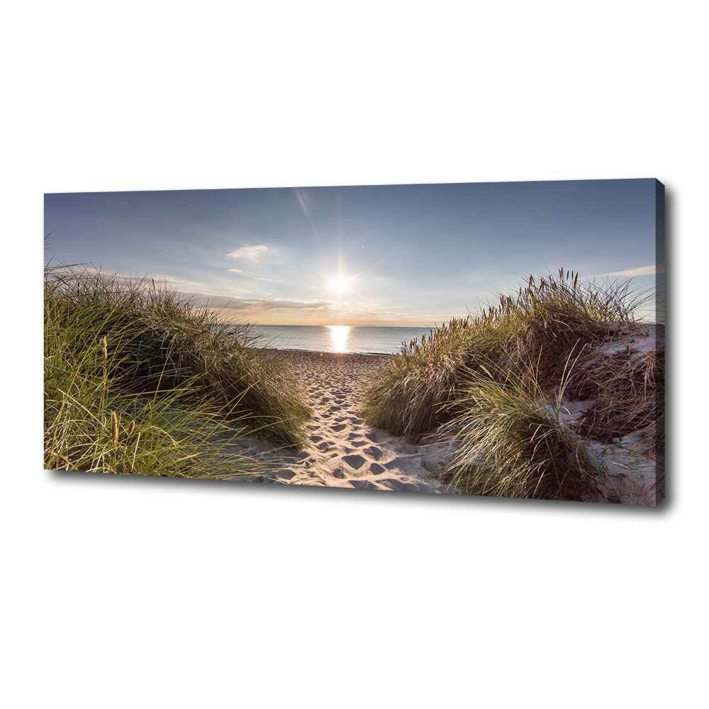 Canvas wall art Coastal dunes