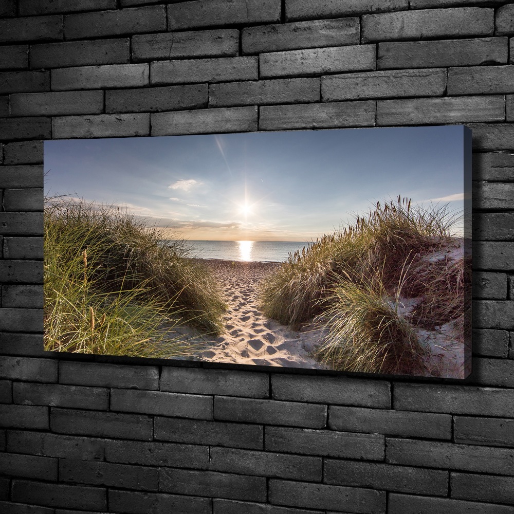 Canvas wall art Coastal dunes