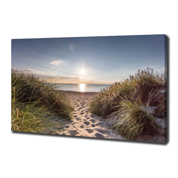 Canvas wall art Coastal dunes