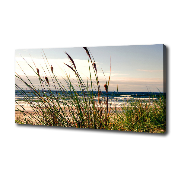 Canvas wall art Coastal dunes