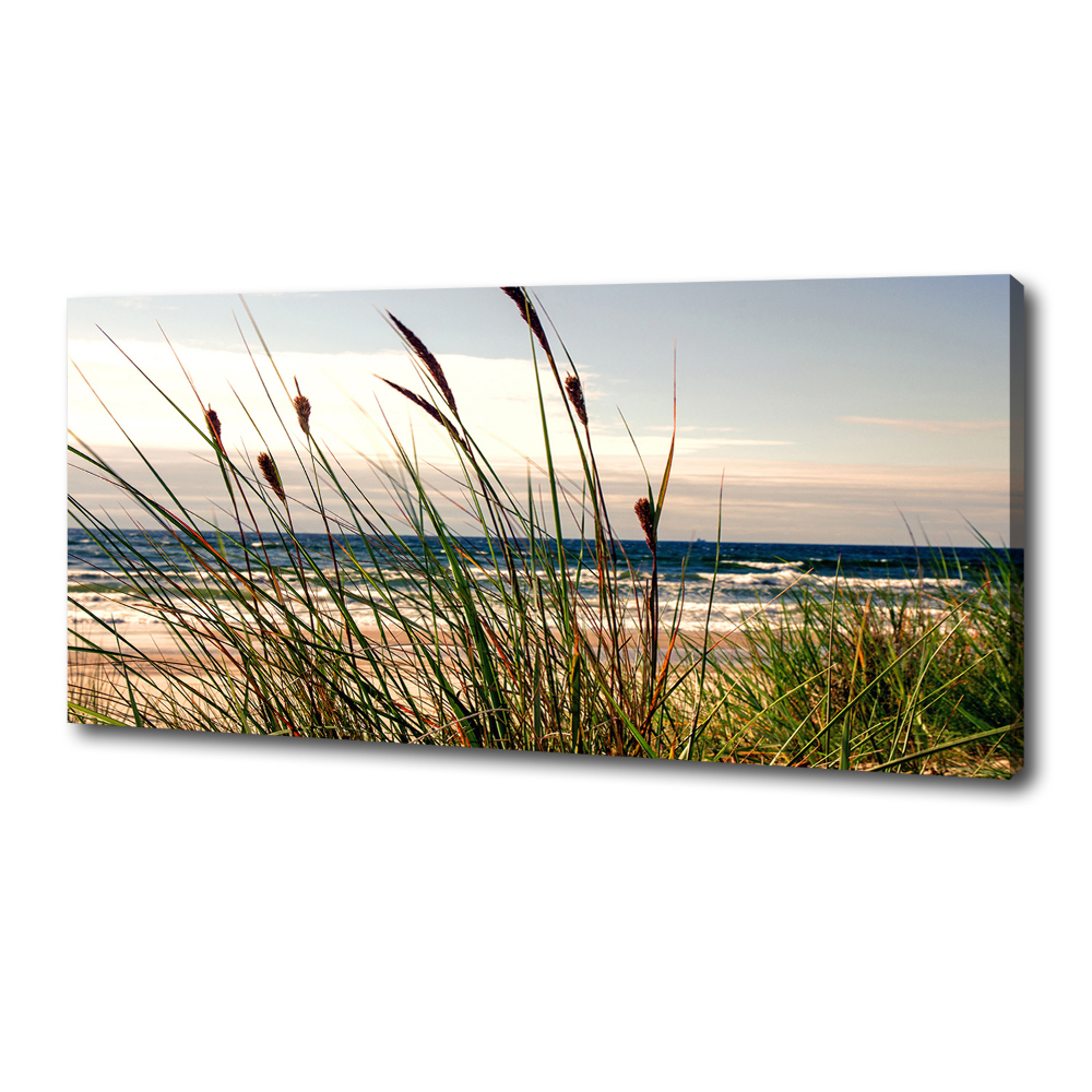 Canvas wall art Coastal dunes