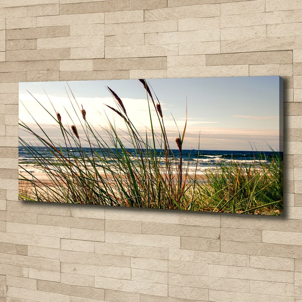 Canvas wall art Coastal dunes