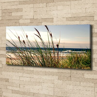 Canvas wall art Coastal dunes