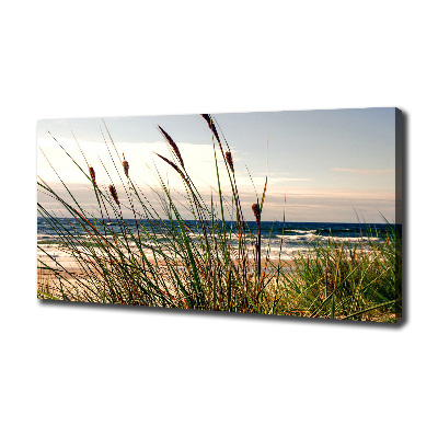 Canvas wall art Coastal dunes