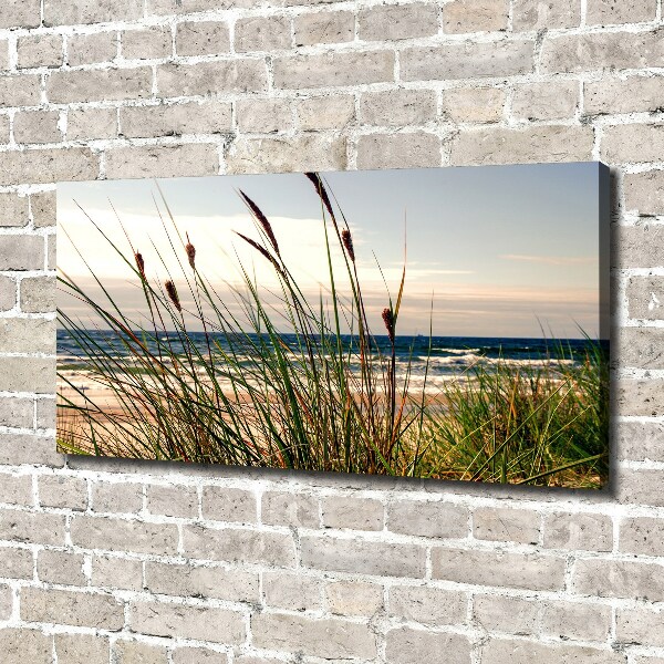 Canvas wall art Coastal dunes