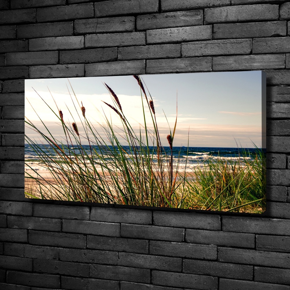 Canvas wall art Coastal dunes