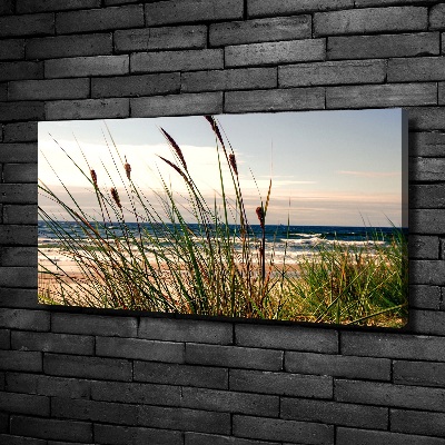 Canvas wall art Coastal dunes