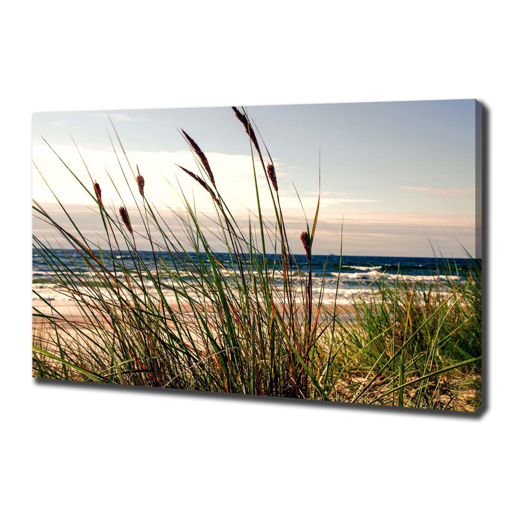 Canvas wall art Coastal dunes