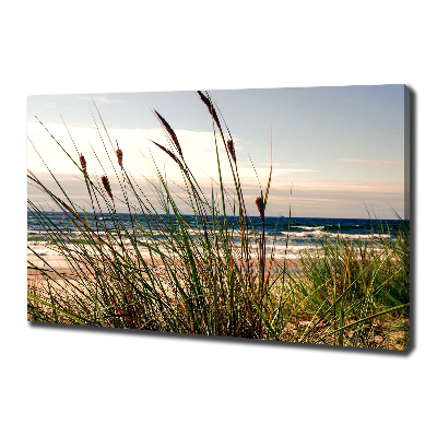 Canvas wall art Coastal dunes