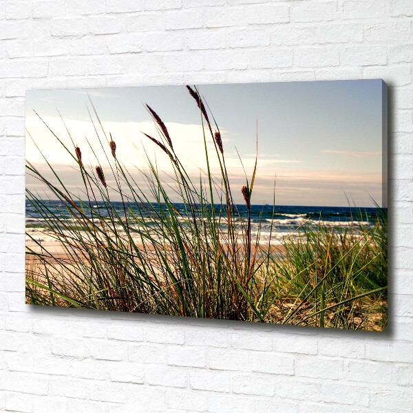 Canvas wall art Coastal dunes