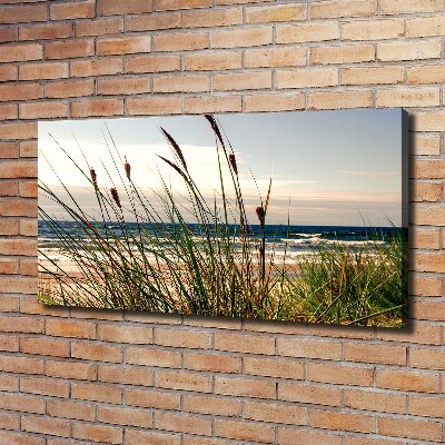 Canvas wall art Coastal dunes